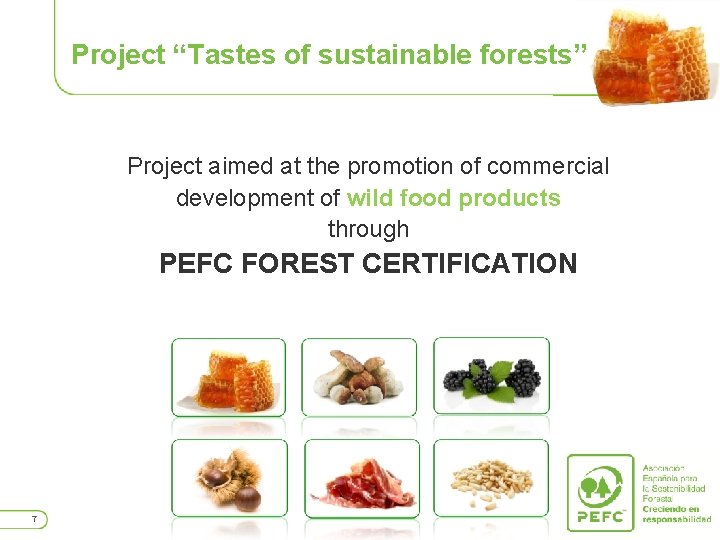 Project “Tastes of sustainable forests” Project aimed at the promotion of commercial development of
