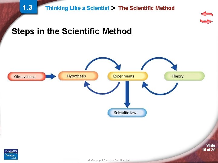 1. 3 Thinking Like a Scientist > The Scientific Method Steps in the Scientific