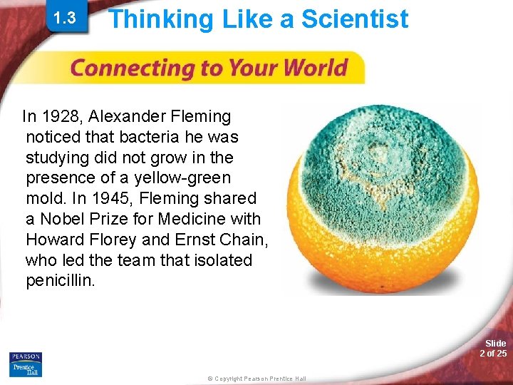 1. 3 Thinking Like a Scientist In 1928, Alexander Fleming noticed that bacteria he