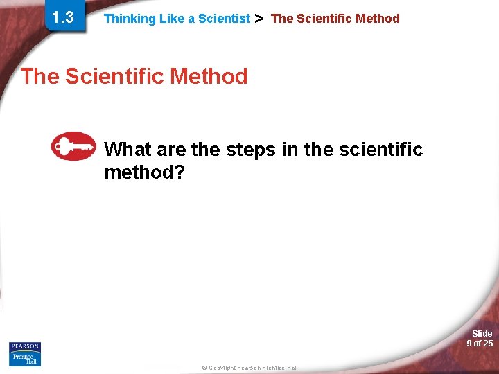 1. 3 Thinking Like a Scientist > The Scientific Method What are the steps