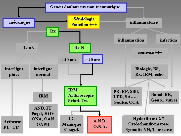 Genou douloureux non traumatique Sémiologie Ponction +++ mécanique inflammatoire Rx inflammation Rx N Rx