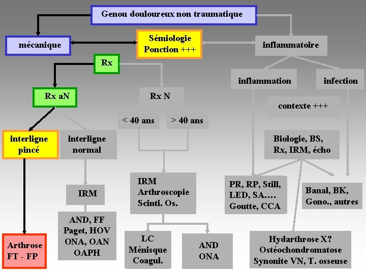 Genou douloureux non traumatique Sémiologie Ponction +++ mécanique inflammatoire Rx inflammation Rx N Rx