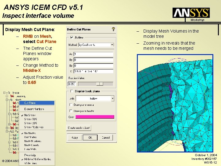 ANSYS ICEM CFD v 5. 1 Inspect interface volume Display Mesh Cut Plane: –
