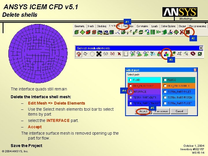 ANSYS ICEM CFD v 5. 1 Delete shells Workshop #1 #2 #3 The interface