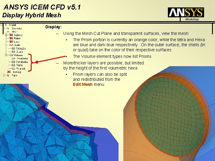 ANSYS ICEM CFD v 5. 1 Display Hybrid Mesh Workshop Display: – – Using