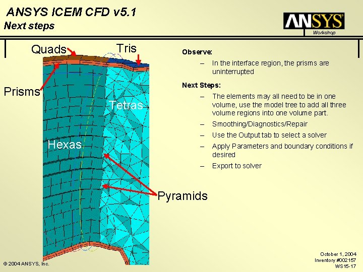 ANSYS ICEM CFD v 5. 1 Next steps Quads Workshop Tris Observe: – In