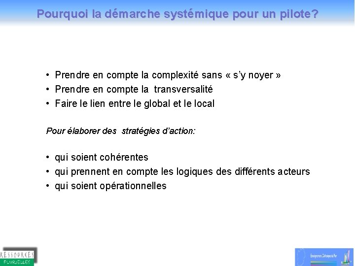 Pourquoi la démarche systémique pour un pilote? • Prendre en compte la complexité sans