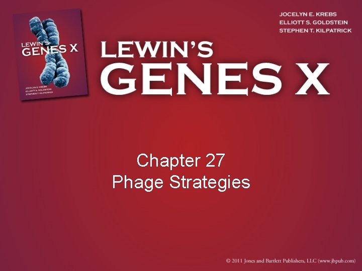 Chapter 27 Phage Strategies 