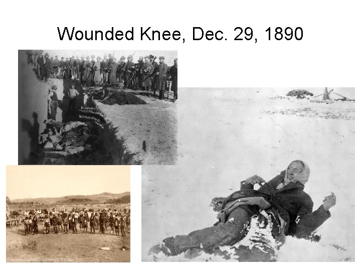 Wounded Knee, Dec. 29, 1890 