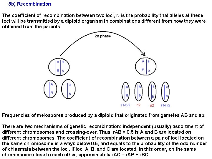 3 b) Recombination The coefficient of recombination between two loci, r, is the probability
