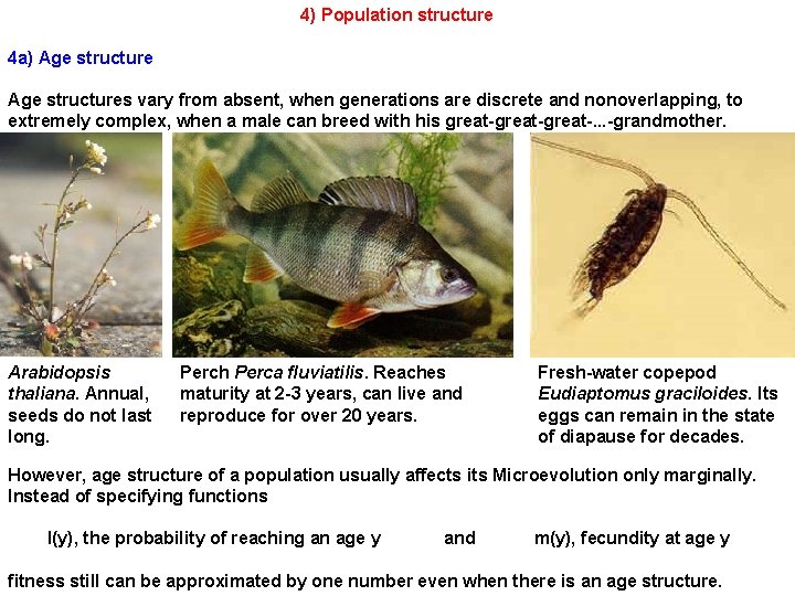 4) Population structure 4 a) Age structures vary from absent, when generations are discrete