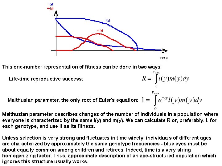 This one-number representation of fitness can be done in two ways: Life-time reproductive success: