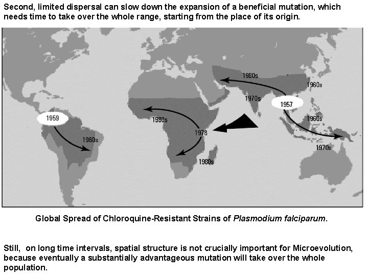 Second, limited dispersal can slow down the expansion of a beneficial mutation, which needs
