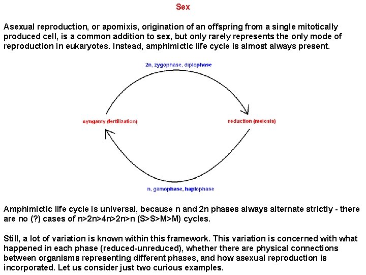 Sex Asexual reproduction, or apomixis, origination of an offspring from a single mitotically produced