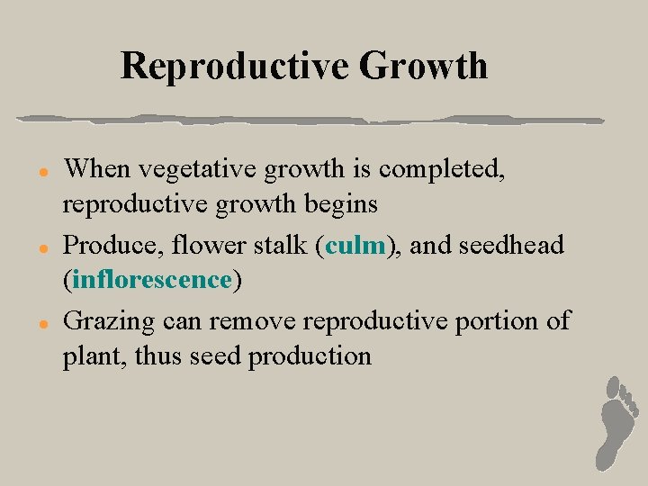 Reproductive Growth l l l When vegetative growth is completed, reproductive growth begins Produce,