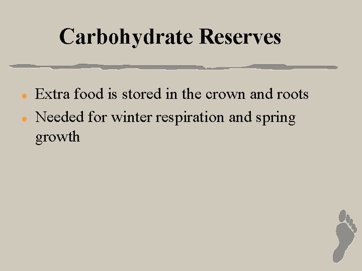 Carbohydrate Reserves l l Extra food is stored in the crown and roots Needed