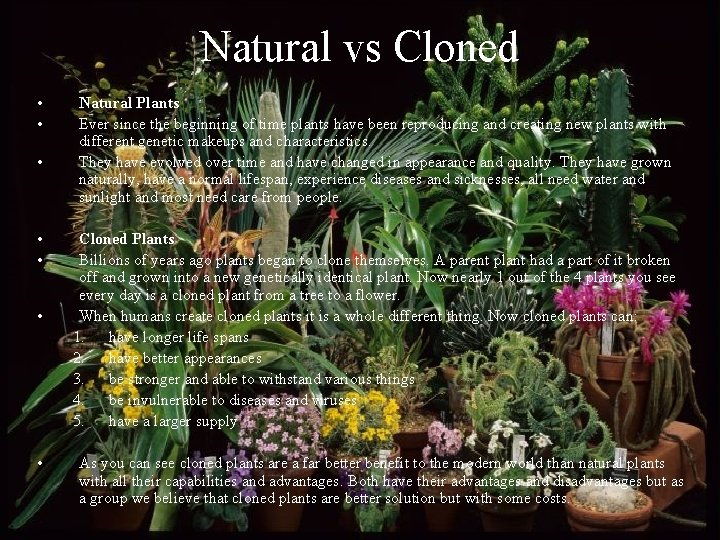 Natural vs Cloned • • Natural Plants Ever since the beginning of time plants