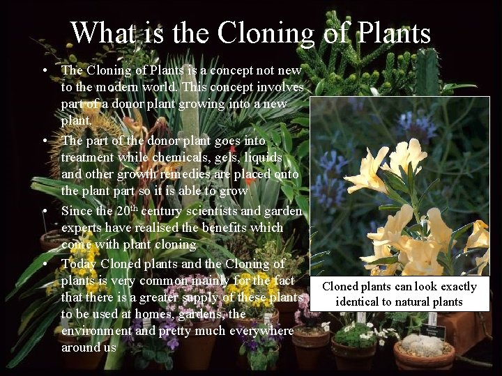 What is the Cloning of Plants • The Cloning of Plants is a concept