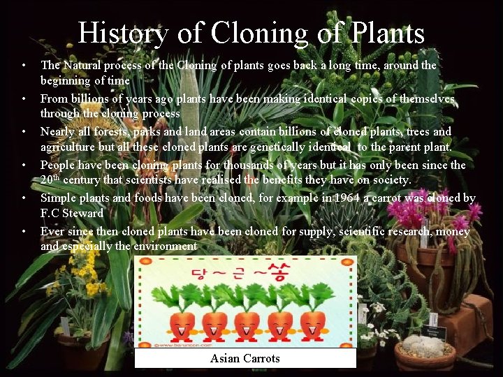 History of Cloning of Plants • • • The Natural process of the Cloning