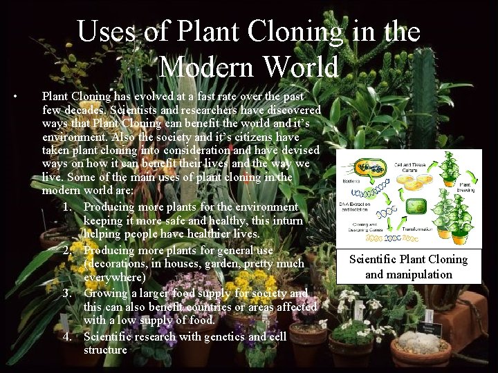 Uses of Plant Cloning in the Modern World • Plant Cloning has evolved at