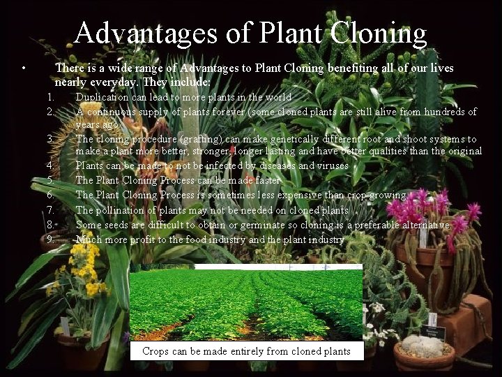 Advantages of Plant Cloning • There is a wide range of Advantages to Plant