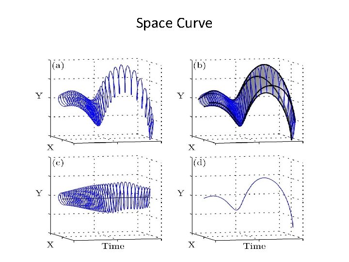 Space Curve 