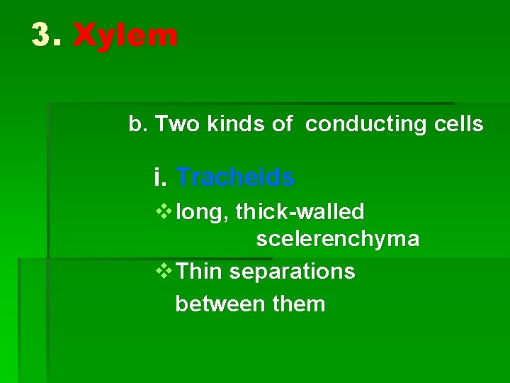 3. Xylem b. Two kinds of conducting cells i. Tracheids v long, thick-walled scelerenchyma