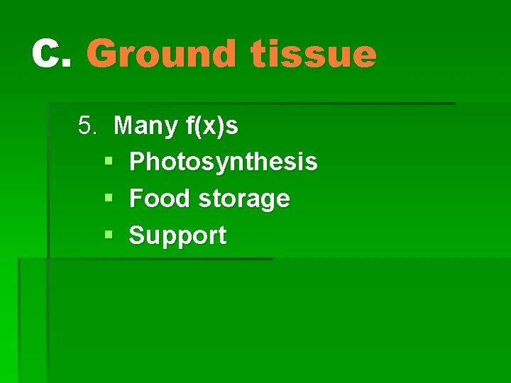 C. Ground tissue 5. Many f(x)s § Photosynthesis § Food storage § Support 