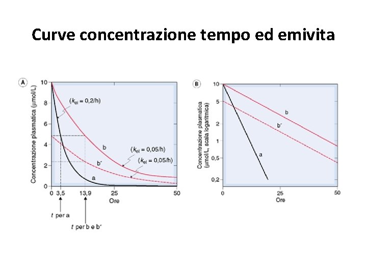 Curve concentrazione tempo ed emivita 