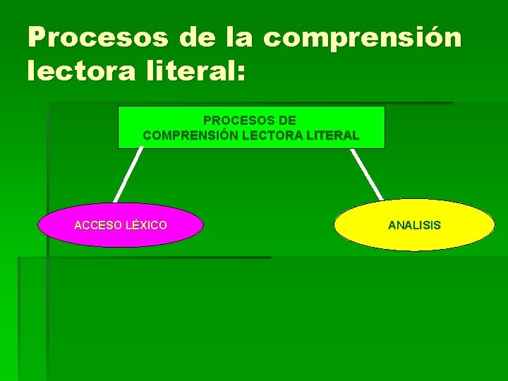 Procesos de la comprensión lectora literal: PROCESOS DE COMPRENSIÓN LECTORA LITERAL ACCESO LÉXICO ANALISIS