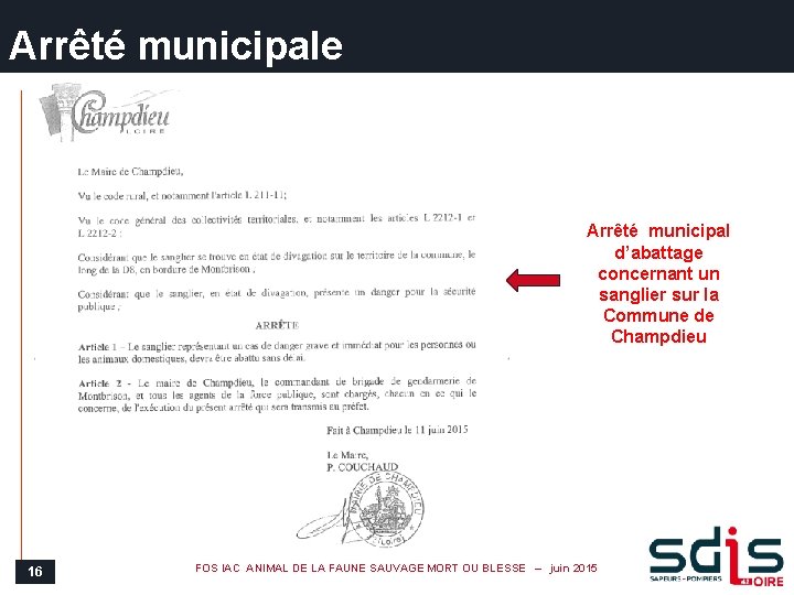 Arrêté municipale Arrêté municipal d’abattage concernant un sanglier sur la Commune de Champdieu 16