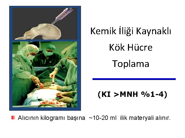 Kemik İliği Kaynaklı Kök Hücre Toplama (KI >MNH %1 -4) Alıcının kilogramı başına ~10