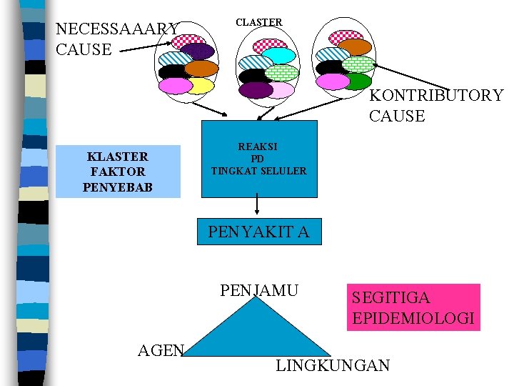 NECESSAAARY CAUSE CLASTER KONTRIBUTORY CAUSE KLASTER FAKTOR PENYEBAB REAKSI PD TINGKAT SELULER PENYAKIT A