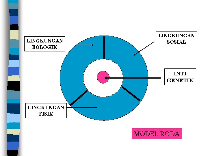 LINGKUNGAN BOLOGIK LINGKUNGAN SOSIAL INTI GENETIK LINGKUNGAN FISIK MODEL RODA 
