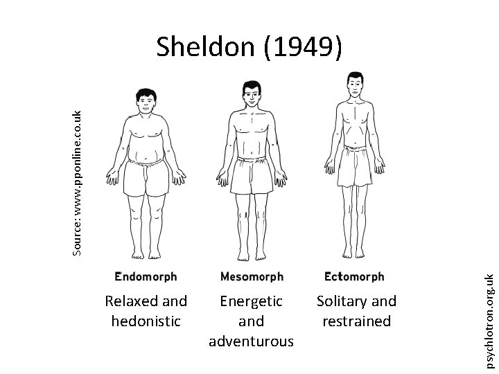 Relaxed and hedonistic Energetic and adventurous Solitary and restrained psychlotron. org. uk Source: www.