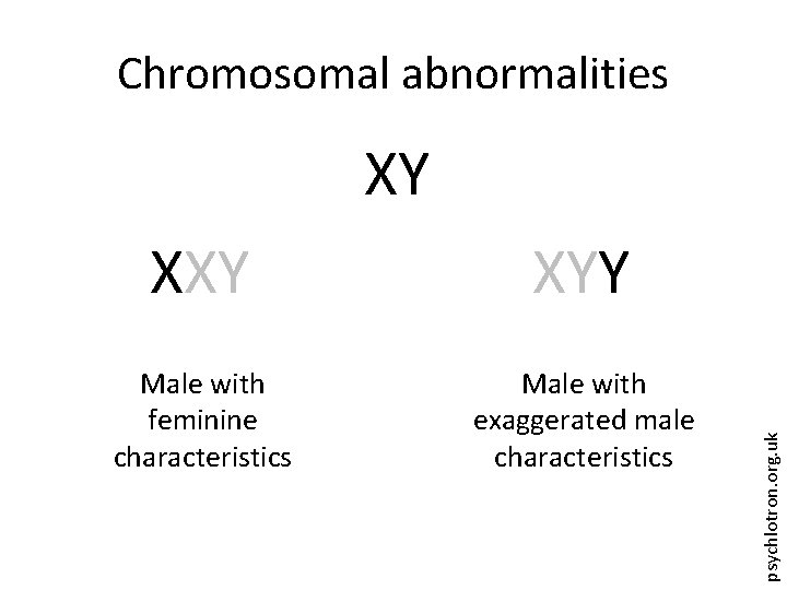 Chromosomal abnormalities XXY XYY Male with feminine characteristics Male with exaggerated male characteristics psychlotron.