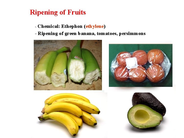 Ripening of Fruits - Chemical: Ethephon (ethylene) - Ripening of green banana, tomatoes, persimmons