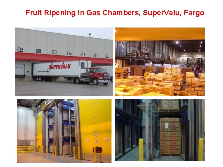 Fruit Ripening in Gas Chambers, Super. Valu, Fargo 