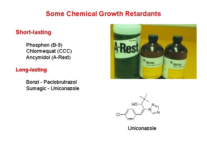 Some Chemical Growth Retardants Short-lasting Phosphon (B-9) Chlormequat (CCC) Ancymidol (A-Rest) Long-lasting Bonzi -