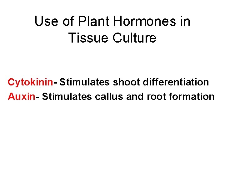Use of Plant Hormones in Tissue Culture Cytokinin- Stimulates shoot differentiation Auxin- Stimulates callus