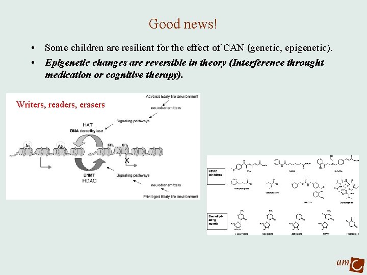 Early life stress changes the way our genes