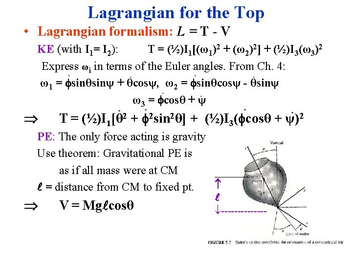 Lagrangian for the Top • Lagrangian formalism: L = T - V KE (with Lagrangian for the Top • Lagrangian formalism: L = T - V KE (with