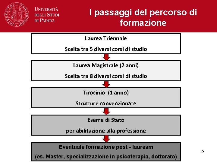 I passaggi del percorso di formazione Laurea Triennale Scelta tra 5 diversi corsi di