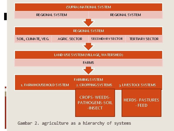 (SUPRA) NATIONAL SYSTEM REGIONAL SYSTEM SOIL, CLIMATE, VEG. AGRIC. SECTOR SECONDARY SECTOR TERTIARY SECTOR