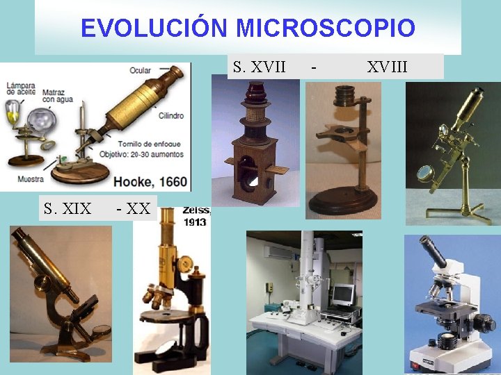 EVOLUCIÓN MICROSCOPIO S. XVII S. XIX - XVIII EVOLUCIÓN MICROSCOPIO S. XVII S. XIX - XVIII