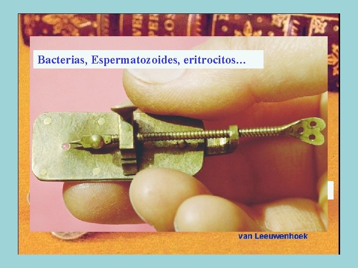 Eran dos lupas combinadas Bacterias, Espermatozoides, eritrocitos… Construyó 260 Eran dos lupas combinadas Bacterias, Espermatozoides, eritrocitos… Construyó 260