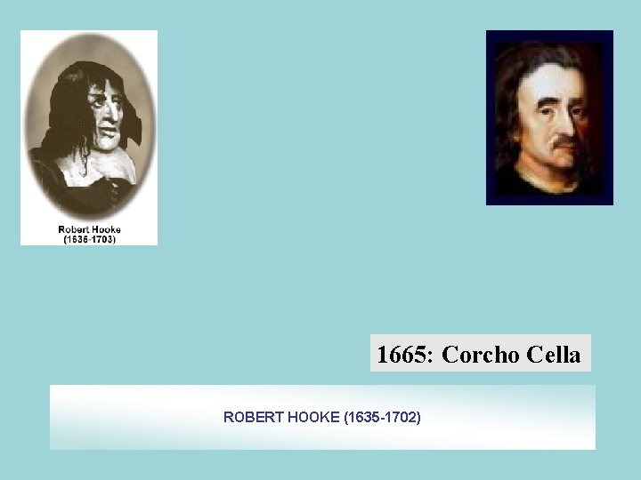 1665: Corcho Cella ROBERT HOOKE (1635 -1702) 1665: Corcho Cella ROBERT HOOKE (1635 -1702)