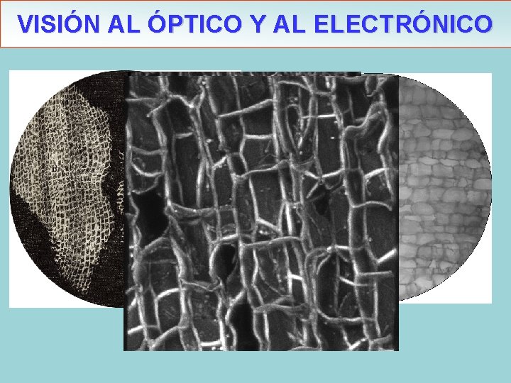 VISIÓN AL ÓPTICO Y AL ELECTRÓNICO VISIÓN AL ÓPTICO Y AL ELECTRÓNICO