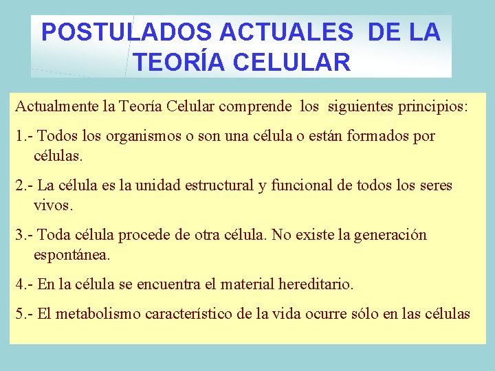 POSTULADOS ACTUALES DE LA TEORÍA CELULAR Actualmente la Teoría Celular comprende los siguientes principios: POSTULADOS ACTUALES DE LA TEORÍA CELULAR Actualmente la Teoría Celular comprende los siguientes principios: