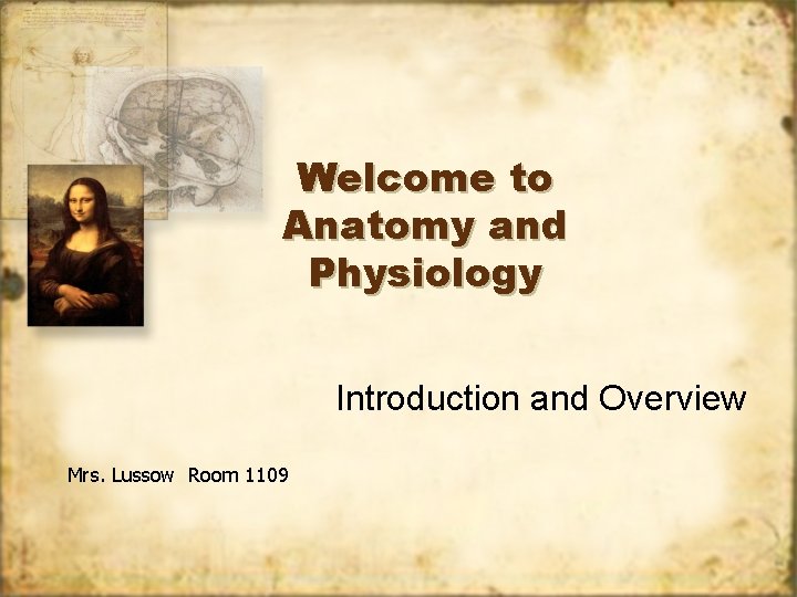 Welcome to Anatomy and Physiology Introduction and Overview Mrs. Lussow Room 1109 